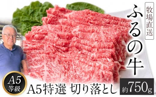 ふるの牛(黒毛和牛)A5特選 切り落とし 750g A5 ミシュラン掲載《30日以内に出荷予定(土日祝除く)》---skr_ffrnkrot_30d_21_21900_750g--- (管理コード:skr_ffrnkrot_30d_21_21900_750g)