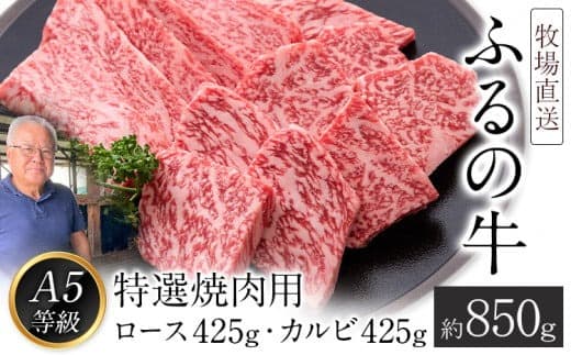 ふるの牛(黒毛和牛)特選焼肉用 850g (ロース425g、カルビ425g) A5 ミシュラン掲載 《30日以内に出荷予定(土日祝除く)》---skr_ffrnyknk_30d_22_50000_850g--- (管理コード:skr_ffrnyknk_30d_22_50000_850g)
