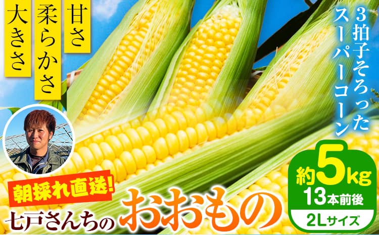 先行予約 朝採れ直送 とうもろこし おおもの 2Lサイズ 13本 約5kg 糖度20度以上 甘い スイートコーン 岩手県 九戸村 七戸宏大 野菜 トウモロコシ 産地直送 旬 新鮮 BBQ バーベキュー お取り寄せ 送料無料 《2027年7月下旬-8月下旬頃出荷》---26_kunohe_7h_9_y_5kg---