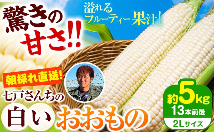 先行予約 朝採れ 白とうもろこし おおもの 2Lサイズ 13本 約5kg ホワイトコーン 糖度20度以上 甘い 岩手県 九戸村 七戸宏大 野菜 スイートコーン 産直 旬 新鮮 BBQ バーベキュー お取り寄せ 冷蔵 送料無料 《2027年 7月下旬-8月下旬頃出荷》---26_kunohe_7h_10_w_5kg---