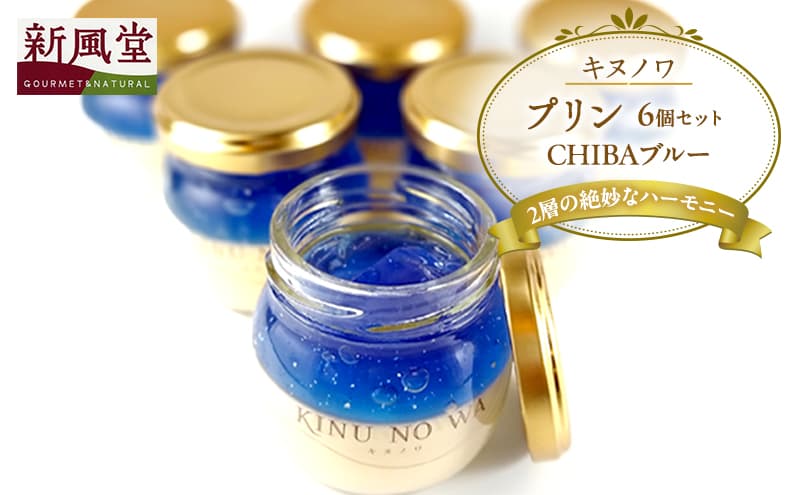 キヌノワプリン CHIBAブルー6個セット
