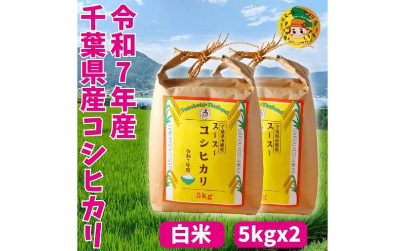 お米 千葉県市原市 スースーコシヒカリ 10kg (5kgx2) 米 コメ 白米 コシヒカリ こしひかり ふっくら 甘み 上品な香り 冷めても美味しい 市原市 千葉県