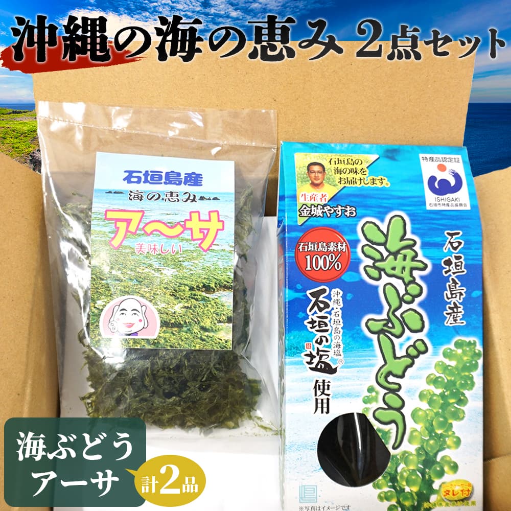 沖縄の海の恵み 海ぶどう&アーサ CK-09