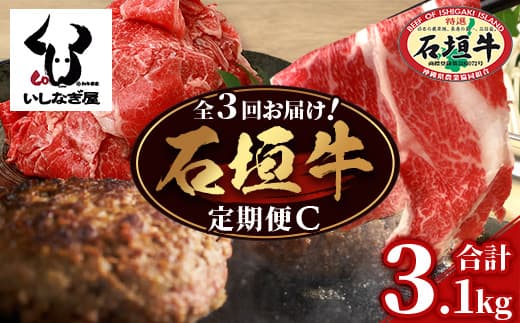 【全3回 定期便C】 石垣牛 切り落としスライス・ハンバーグ・肩ロースすきしゃぶ 計3.1kg(いしなぎ屋)【 特選肉 肉 高級 黒毛和牛 和牛 牛 】AB-31
