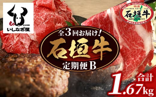 【全3回 定期便B】 石垣牛 切り落としスライス・ハンバーグ・肩ロースすきしゃぶ 計1.67kg(いしなぎ屋)【 特選肉 肉 高級 黒毛和牛 和牛 牛 】AB-30