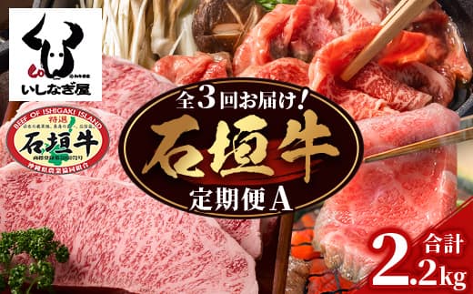 【全3回 定期便A】 石垣牛特選 焼肉・サーロインステーキ・すきしゃぶ 計2.2kg (いしなぎ屋)【 特選肉 肉 高級 黒毛和牛 和牛 牛 】AB-29