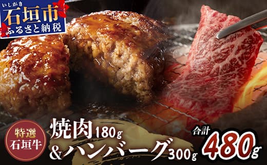 ≪特選≫ 石垣牛100% ハンバーグ (100g×3個) & ≪特選≫ 石垣牛 元卸のお任せ焼肉 (180g) セット(八重山パーツミート)I-17-1