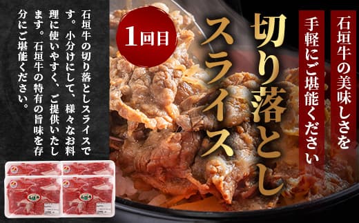 【全3回 定期便C】 石垣牛 切り落としスライス・ハンバーグ・肩ロースすきしゃぶ 計3.1kg(いしなぎ屋)【 特選肉 肉 高級 黒毛和牛 和牛 牛 】AB-31