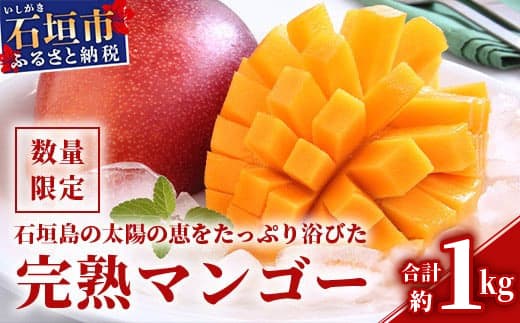 【フルーツ特集】【2026年発送 先行予約】石垣島のマンゴー 約1kg 【沖縄県 石垣市 産地直送 旬 石垣島産 マンゴー 完熟マンゴー アーウィン種マンゴー】申し込みは今のうちに!フルーツ先行予約 HI-1