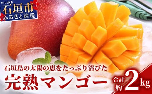 【フルーツ特集】【2026年発送 先行予約】石垣島のマンゴー 約2kg 【沖縄県 石垣市 産地直送 旬 石垣島産 マンゴー 完熟マンゴー】HI-2