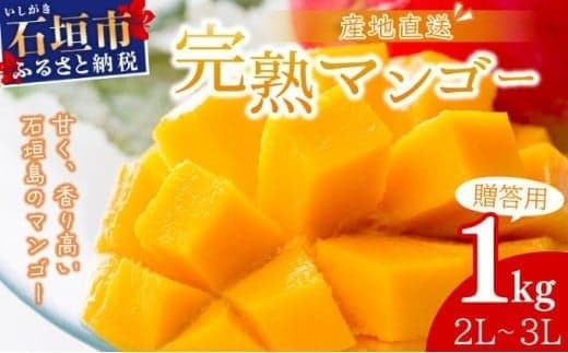 【2026年6月末から順次発送】2L~3L マンゴー2~3玉(約1kg) 【 産地直送 旬 フルーツ 新鮮 完熟 マンゴー 石垣 沖縄 】KP-24