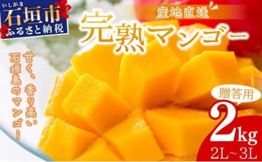 【2026年6月末から順次発送】2L~3L マンゴー3~6玉(約2kg) 【 産地直送 旬 フルーツ 新鮮 完熟 マンゴー 石垣 沖縄 】KP-25