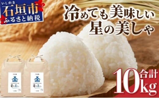 石垣島産 星の美(かい)しゃ 10kg みやぎ米屋 【 日本一早い新米の産地 米 お米 産地直送 旬 ほしじるし 沖縄県 石垣市 】MK-4