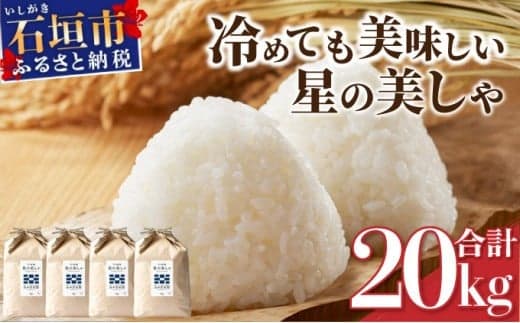 石垣島産 星の美しゃ(ほしのかいしゃ)20kg(5kg×4袋)【 日本一早い新米の産地 ふるさと納税 沖縄県 石垣市 石垣島 米 星 星の美しゃ】MK-5