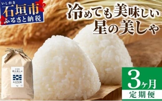 【定期便3回】3ヶ月連続お届け 石垣島産 星の美しゃ(ほしのかいしゃ)15kg(5kg×3回)【 日本一早い新米の産地 ふるさと納税 沖縄県 石垣市 石垣島 米 星 星の美しゃ】MK-6