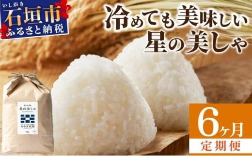 【定期便6回】6ヶ月連続お届け 石垣島産 星の美しゃ(ほしのかいしゃ)30kg(5kg×6回)【 日本一早い新米の産地 ふるさと納税 沖縄県 石垣市 石垣島 米 星 星の美しゃ】MK-7