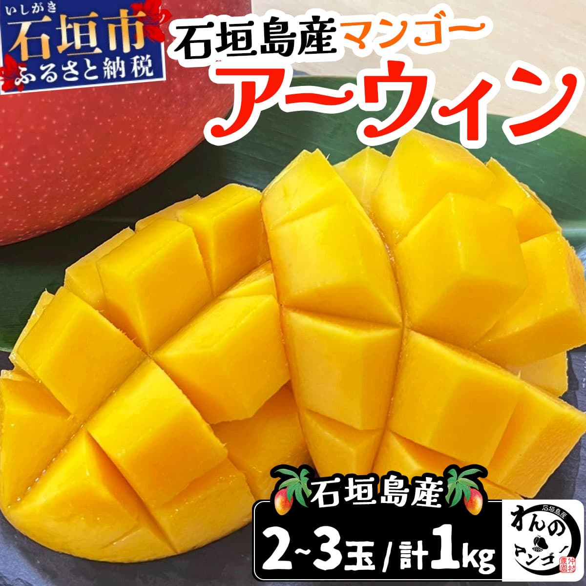 【夏のおすすめ特集】<わんのマンゴー>石垣島産マンゴー【アーウィン】 合計1kg NA-03