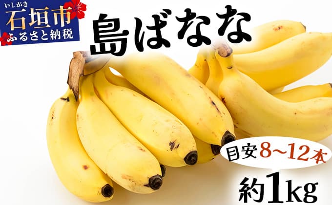 【先行予約 2026年5〜10月順次発送】バナナ好きに届けたい!!完全無農薬栽培 もっちり食感がやみつきの希少な国産『プレミアム島ばなな』贅沢に1房丸ごと約1kgお届け!!