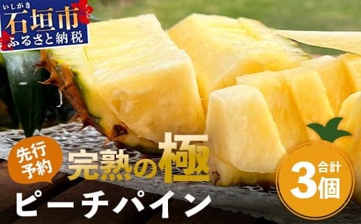 《2026年4月以降順次発送》【先行予約】最高糖度20度!? 完熟の極 石垣島産パイナップル ピーチパイン3個セット【 沖縄 石垣島 石垣 八重山 パイン ピーチパイン 期間限定 数量限定 沖縄県 石垣島産 】TF-1-1_R8
