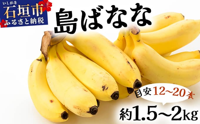 【先行予約 2026年5〜10月順次発送】バナナ好きに届けたい!!完全無農薬栽培 もっちり食感がやみつきの希少な国産『プレミアム島ばなな』贅沢に1房丸ごと約1.5-2kgお届け!!