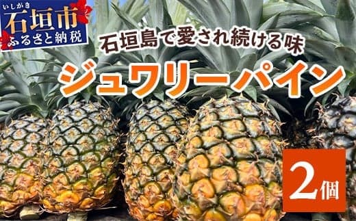 【予約受付】《2026年5月下旬~7月中旬発送》最高糖度18度!? 完熟の極 石垣島産ジュワリーパイン 【 沖縄県 石垣市 石垣島 完熟 パイン パイナップル ジュワリー 予約受付 】TF-16-1_R8