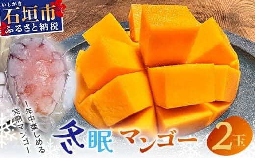 《2026年7月以降発送》最高糖度20度!? 完熟!3Lサイズ 石垣島産冬眠マンゴー 【 沖縄 石垣 数量限定 フルーツ マンゴー 冷凍 完熟 真空 】TF-17-1_R8