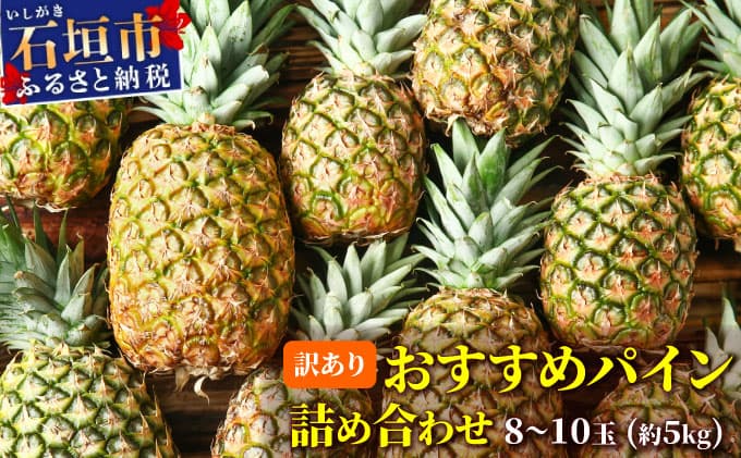 訳あり 石垣さんちのおすすめパイン詰め合わせ 8~10玉 (約5kg)《2026年4月中旬から順次発送》 TP-21