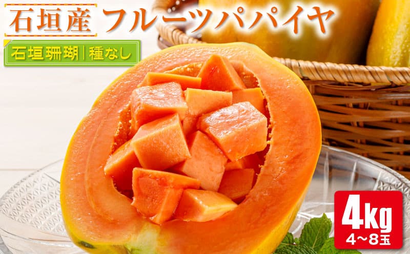 【フルーツ特集】フルーツパパイヤ4kg  ZH-14
