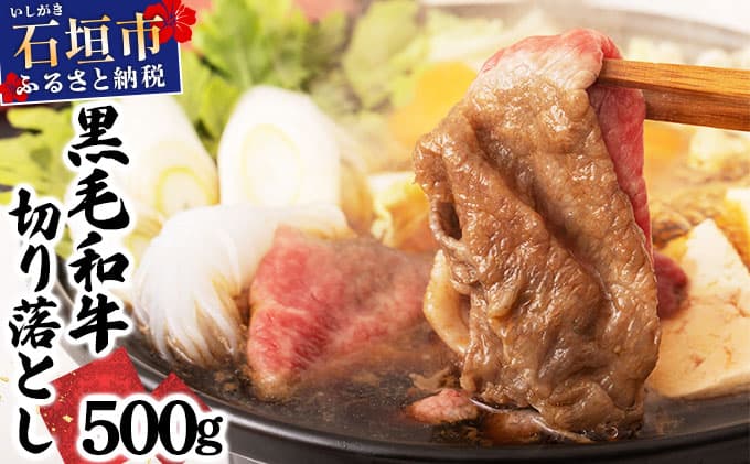 石垣島産経産黒毛和牛 1頭切り落とし 500g  E-52