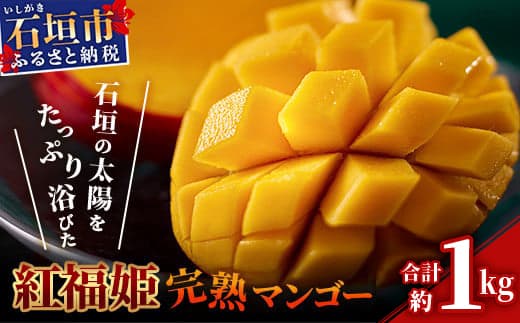 【2026年発送 先行予約】「紅福姫ブランド」石垣島のマンゴー 約1kg 【沖縄県 石垣市 産地直送 旬 石垣島産 マンゴー 完熟マンゴー アーウィン種マンゴー】OT-4 (管理コード:OT-04)