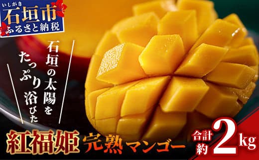 【2026年発送 先行予約】「紅福姫ブランド」石垣島のマンゴー 約2kg【沖縄県 石垣市 産地直送 旬 石垣島産 マンゴー 完熟マンゴー アーウィン種マンゴー】OT-05