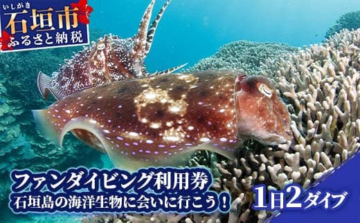 ファンダイビング利用券 石垣島のマンタ・サンゴ・ウミガメに会いに行こう!【沖縄県 石垣市 ダイビング 利用券 海 ダイバー マンタ 珊瑚 ウミガメ 旅行】YD-1-1  (管理コード:YD-1)