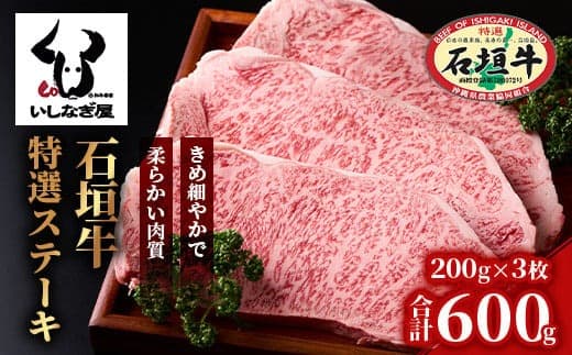 石垣牛特選サーロインステーキ200g×3枚 AB-20 (管理コード:AB-20)