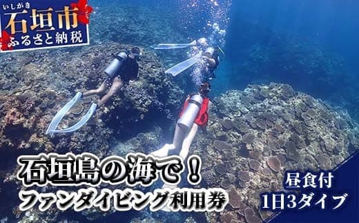 MP-2 石垣島の海でファンダイビング利用券1日3ダイブ (管理コード:MP-2)