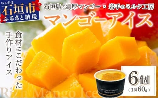 【ローソンふるさと納税カタログ掲載返礼品】マンゴーアイス 6個(1個 60g)【石垣島 石垣市 沖縄県石垣市 セット アイス 石垣島産 八重山 マンゴー 牛乳 完熟マンゴー】 PI-1 (管理コード:PI-1)