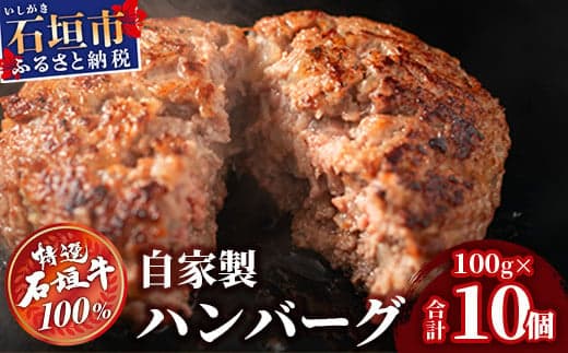 石垣牛 ハンバーグ ≪100g10個≫(八重山パーツミート)【 ビーフハンバーグ 手作り ハンバーグ いしがき牛ハンバーグ 石垣牛 】I-9 (管理コード:I-9)