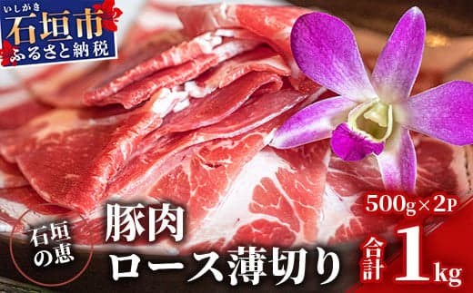 【産地直送】石垣の恵 アグー豚 豚肉ロース薄切り 500g×2パック【合計1kg】KB-33 (管理コード:KB-33)