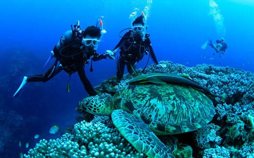 PS-4 ぷしぃぬしまアクティビティツアー利用券(30000円分) (管理コード:PS-4)