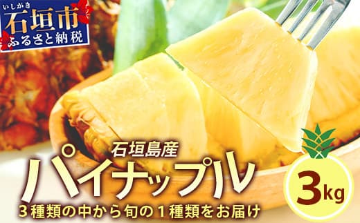 石垣島産パイナップル 2~6個 約3kg 《2026年4月下旬から順次発送いたします》 | ふるさと納税 パイナップル 産地直送 フルーツ 果物 沖縄県石垣市 石垣 沖縄 石垣市 石垣島 KP-14