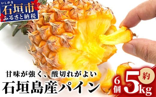 【フルーツ特集】【先行受付】石垣パイン 6個セット ボゴール種【2025年5月初旬~6月初旬発送予定】MI-5-1 パイナップル パインアップル 石垣島パイン フルーツ 果物 くだもの 南国フルーツ 国産パイン