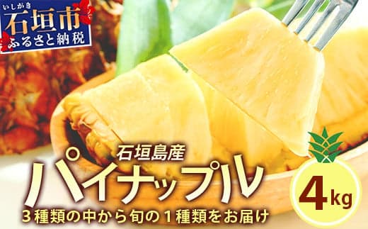 【訳あり】 石垣島産パイナップル4~10個 約4kg 《2025年5月から順次発送いたします》 | ふるさと納税 パイナップル 産地直送 フルーツ 果物 パイン 石垣 沖縄 沖縄県石垣市 石垣島 KP-15