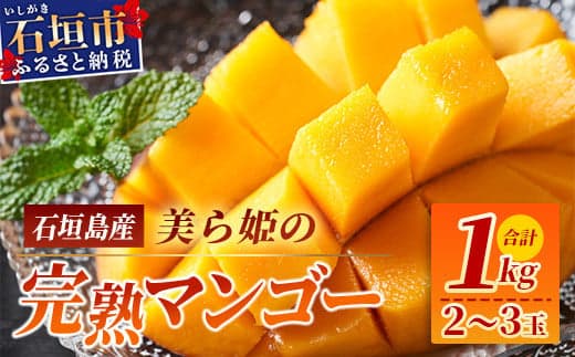 美ら姫マンゴー1kg(完熟・アーウィン種)≪2026年7月中旬~順次発送≫