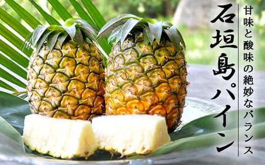 【フルーツ特集】【先行受付】《2025年6月~8月順次発送予定》パイナップル(ハワイ種)沖縄 4玉入 約3.5kg  TK-6