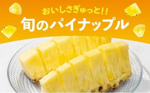 【訳あり】 石垣島産 パイナップル 詰め合わせ 約8kg (6~20個)《2026年4月下旬発送》 KP-16