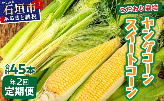 【先行予約2026年1月-5月配送】1番遅くて1番早い⁉ プレミアムヤングコーンとスイートコーンのよくばり定期便!!朝採れを皮付きのままお届け!!