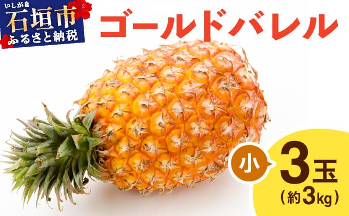 ≪5月上旬順次発送≫ゴールドバレル 小 3玉(約3kg) TP-15