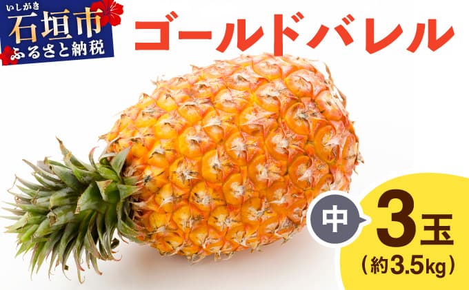 ≪5月上旬順次発送≫ゴールドバレル 中 3玉(約3.5kg) TP-16