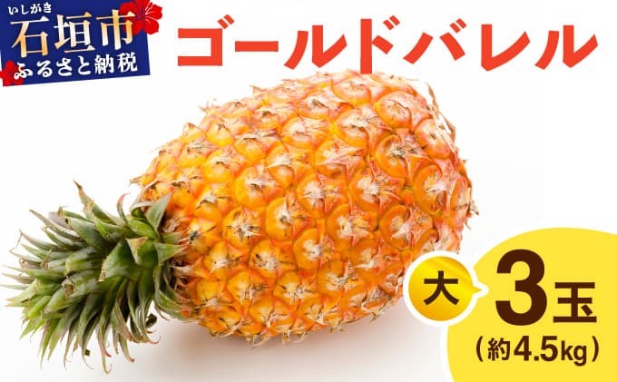 ≪5月上旬順次発送≫ゴールドバレル 大 3玉(約4.5kg) TP-17