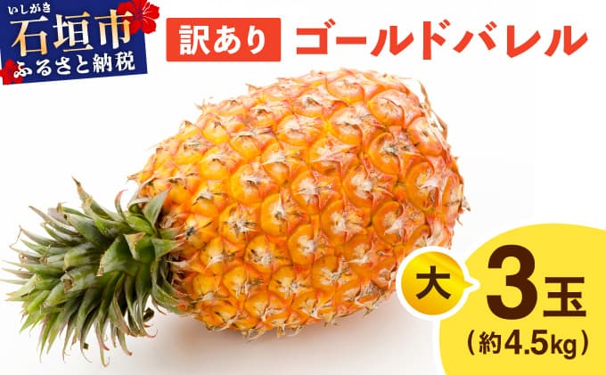 ≪5月上旬順次発送≫ 訳あり ゴールドバレル 大 3玉(約4.5kg) TP-20