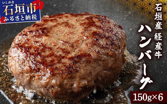 【2026年1月発送】石垣産経産牛ハンバーグ150g×6/箱